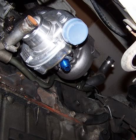 Name:  100_9785m.jpg
Views: 258
Size:  48.6 KB