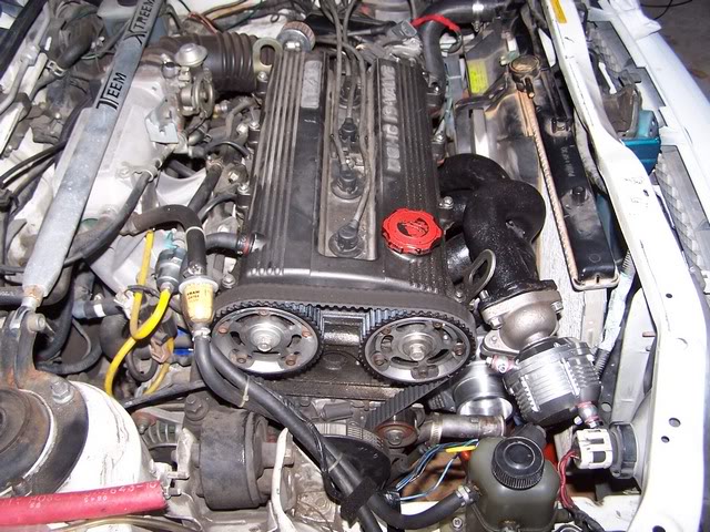 Name:  100_9801m.jpg
Views: 353
Size:  102.0 KB