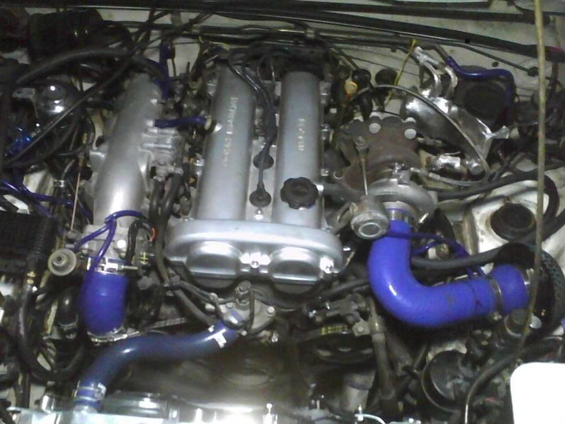 Name:  Photo10111754_1.jpg
Views: 568
Size:  77.6 KB