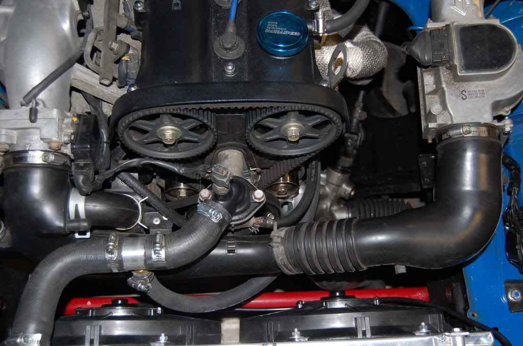 Name:  DSC_0167.jpg
Views: 645
Size:  160.7 KB