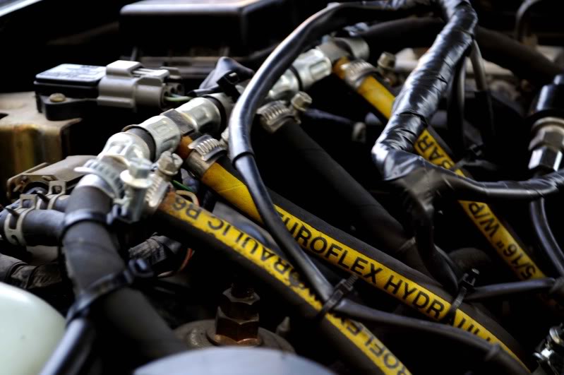 Name:  DSC_0040.jpg
Views: 188
Size:  64.4 KB