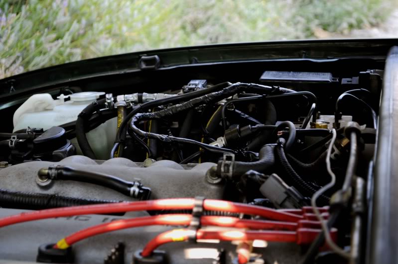 Name:  DSC_0051.jpg
Views: 225
Size:  69.5 KB