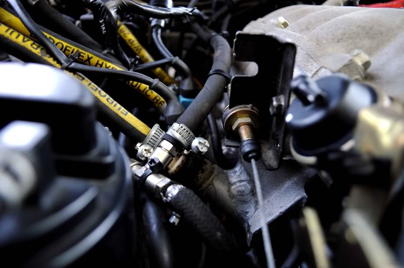 Name:  DSC_0054.jpg
Views: 203
Size:  66.1 KB