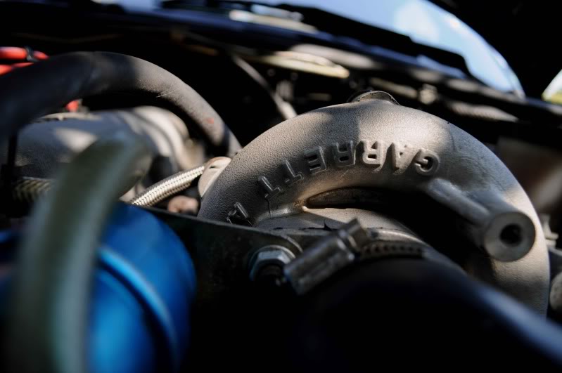 Name:  DSC_0038.jpg
Views: 225
Size:  49.4 KB