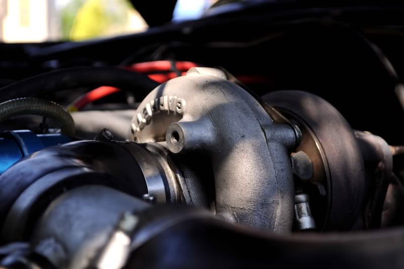 Name:  DSC_0043.jpg
Views: 198
Size:  52.0 KB