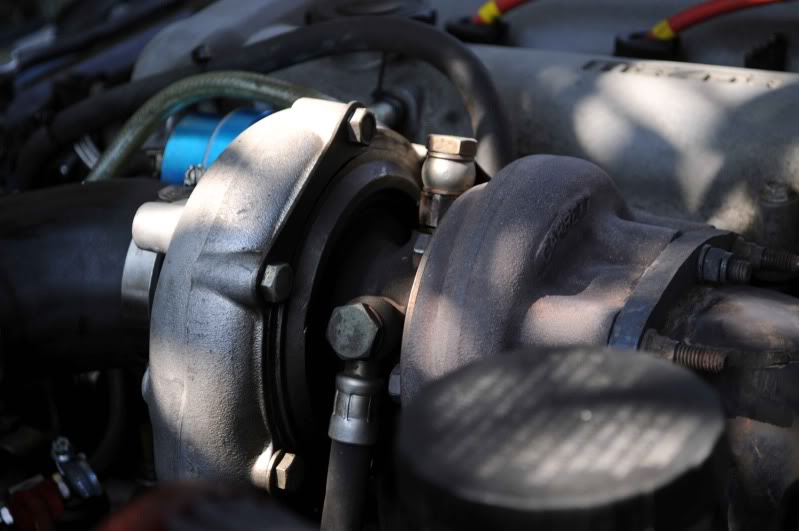 Name:  DSC_0049.jpg
Views: 173
Size:  53.6 KB