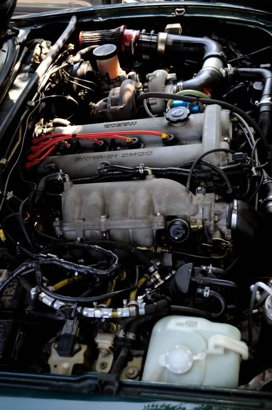 Name:  DSC_0065.jpg
Views: 185
Size:  97.2 KB