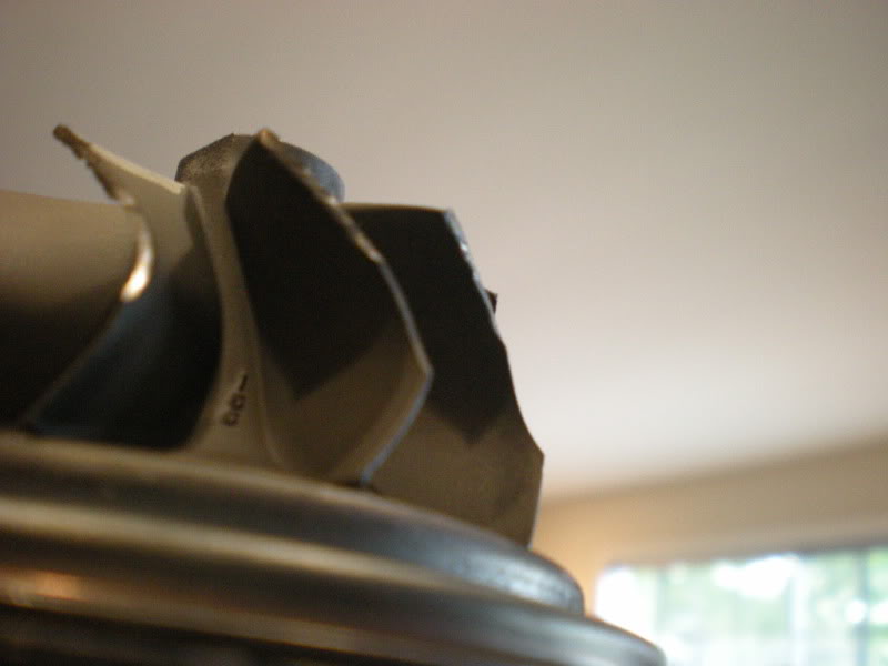 Name:  DSCN1631.jpg
Views: 100
Size:  68.1 KB