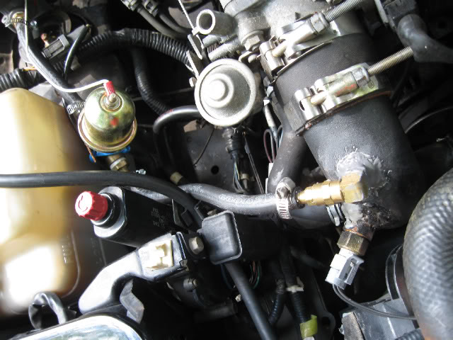 Name:  IMG_1115.jpg
Views: 482
Size:  72.8 KB