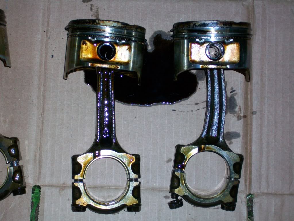 Name:  100_0425.jpg
Views: 112
Size:  167.1 KB