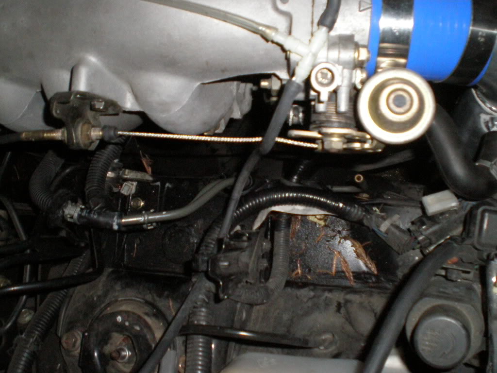 Name:  P6130067.jpg
Views: 1530
Size:  123.5 KB