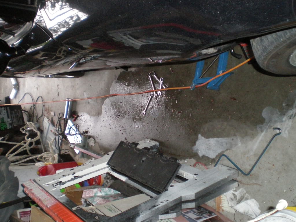 Name:  P6130068.jpg
Views: 1528
Size:  168.0 KB