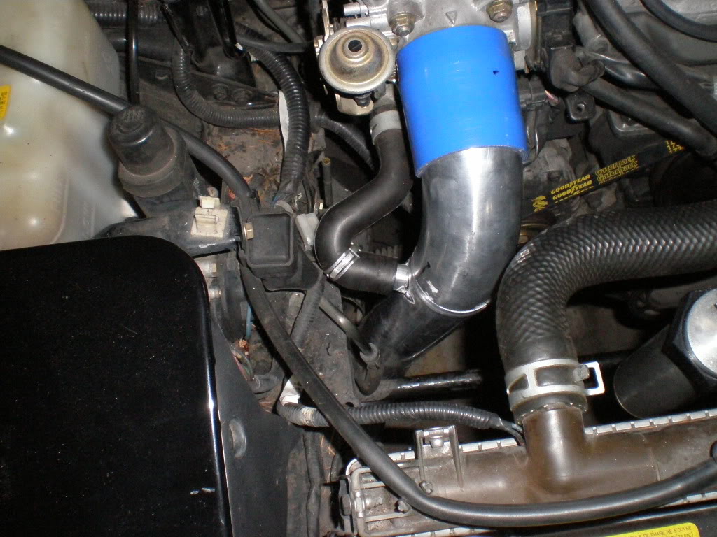 Name:  P6120055.jpg
Views: 1822
Size:  153.4 KB