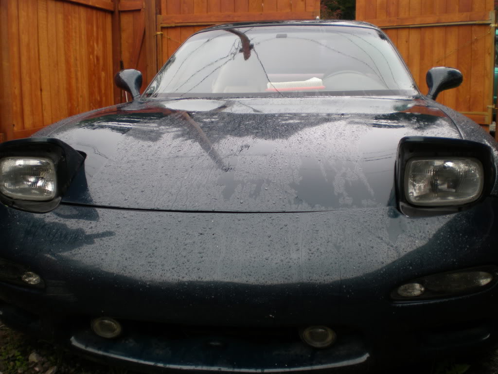 Name:  P5130035.jpg
Views: 500
Size:  131.9 KB