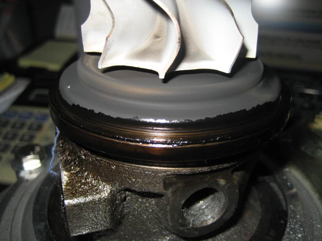 Name:  IMG_9549.jpg
Views: 83
Size:  70.0 KB