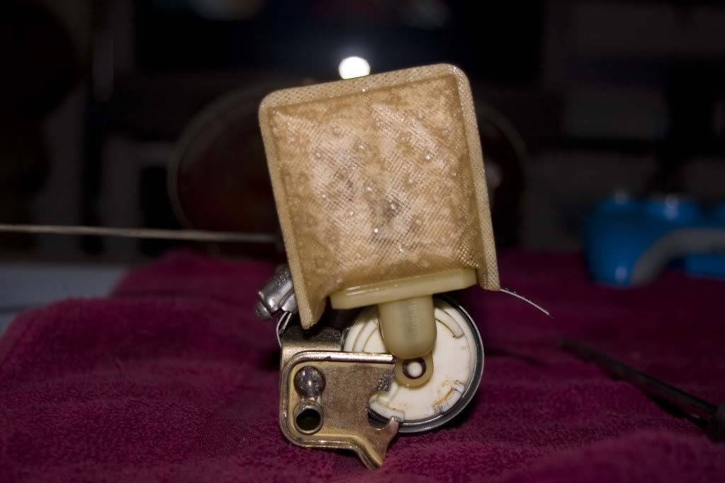 Name:  cutbottom.jpg
Views: 898
Size:  62.6 KB