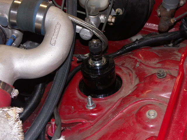 Name:  PICT0082.jpg
Views: 542
Size:  104.8 KB