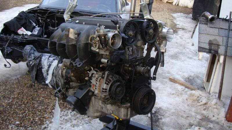 Name:  DSC00500.jpg
Views: 426
Size:  79.2 KB