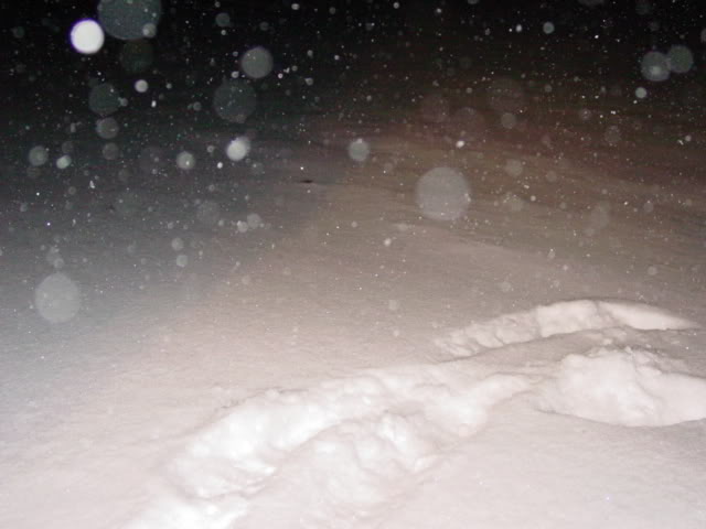 Name:  DSC01327.jpg
Views: 246
Size:  32.6 KB