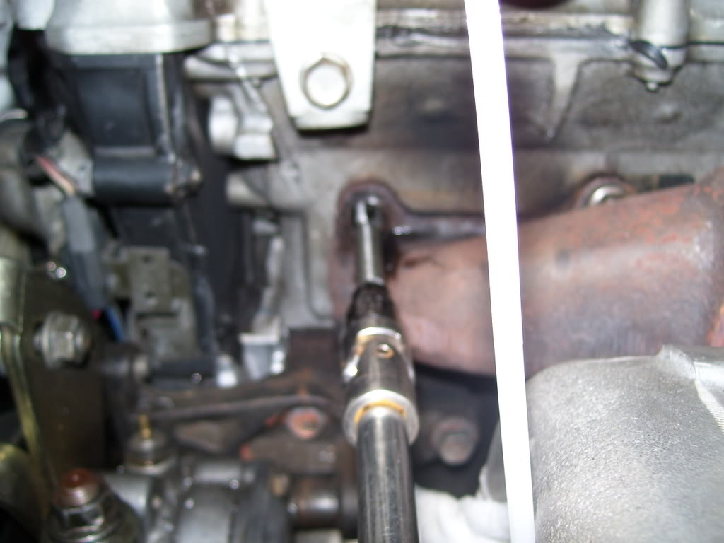 Name:  100_2325.jpg
Views: 182
Size:  76.2 KB