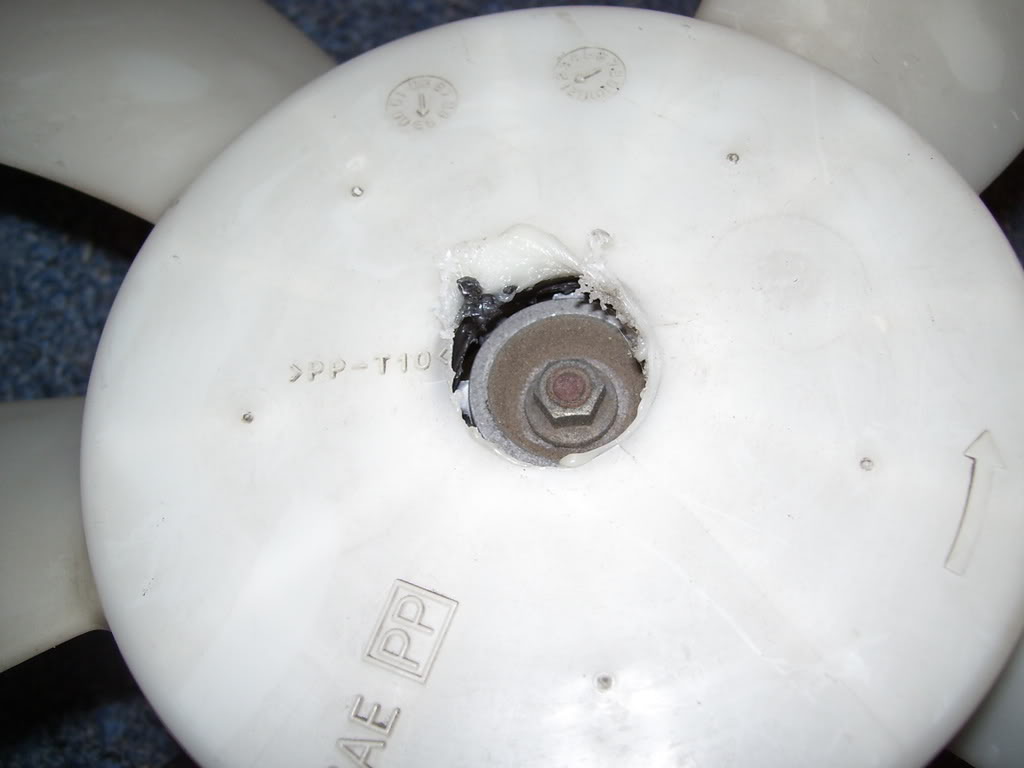 Name:  100_2313.jpg
Views: 189
Size:  53.3 KB