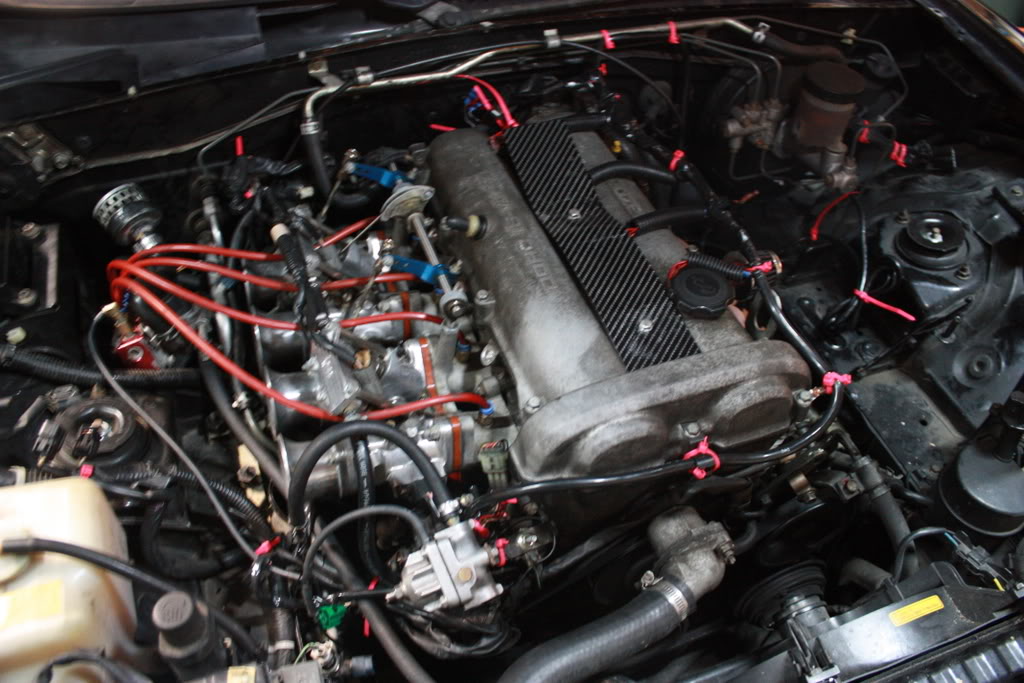 Name:  IMG_2539.jpg
Views: 2580
Size:  131.6 KB