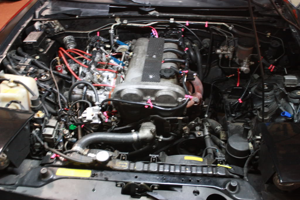 Name:  IMG_2546.jpg
Views: 2425
Size:  130.3 KB