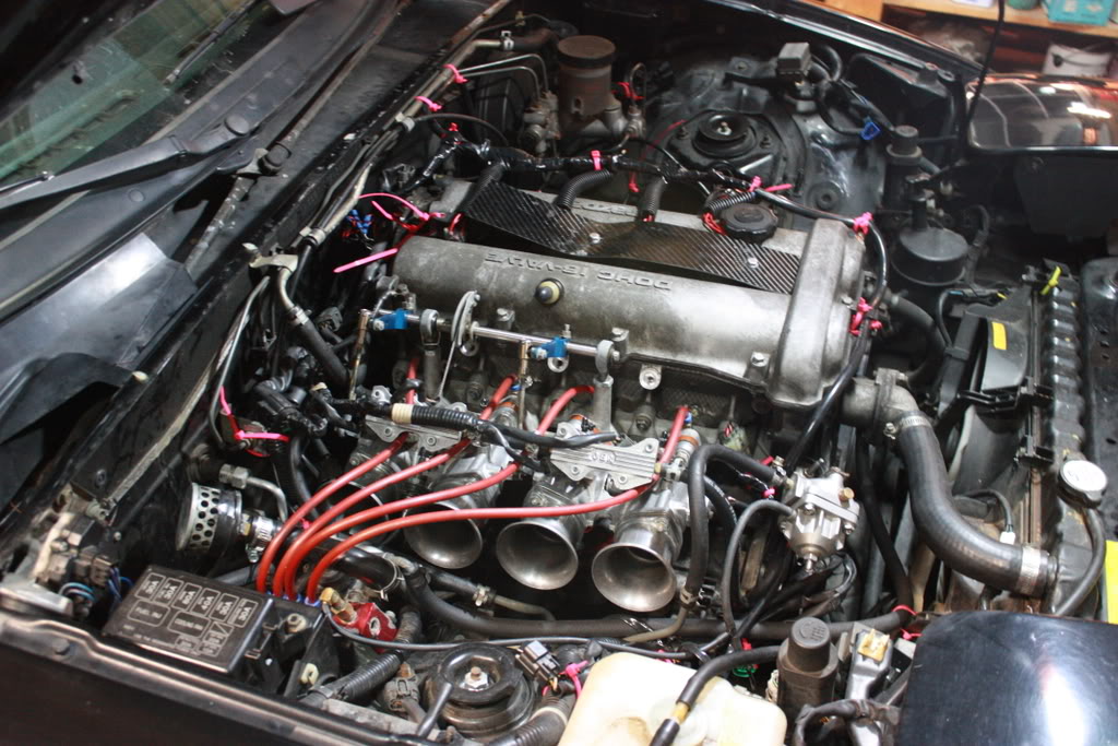 Name:  IMG_2547.jpg
Views: 2639
Size:  160.3 KB