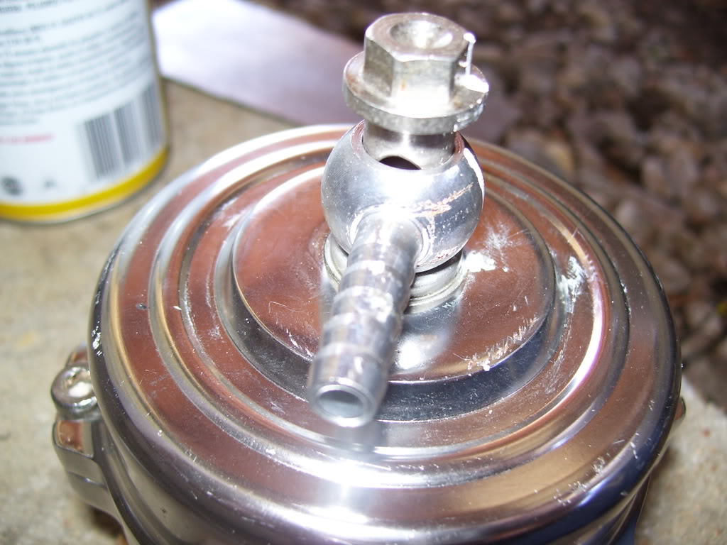 Name:  100_2301.jpg
Views: 2933
Size:  120.4 KB