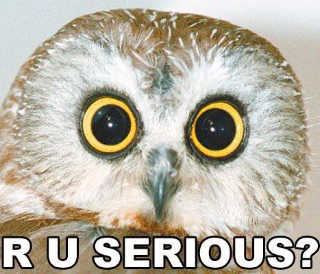 Name:  ruSerious.jpg
Views: 186
Size:  43.1 KB