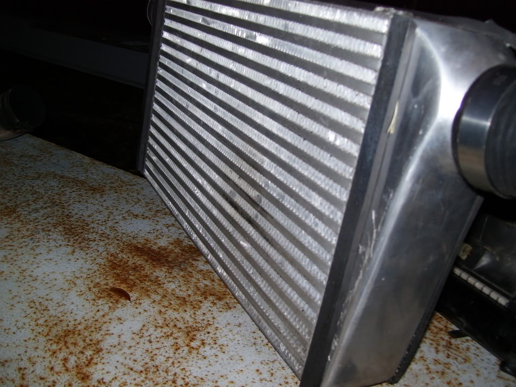 Name:  100_1852.jpg
Views: 223
Size:  152.5 KB