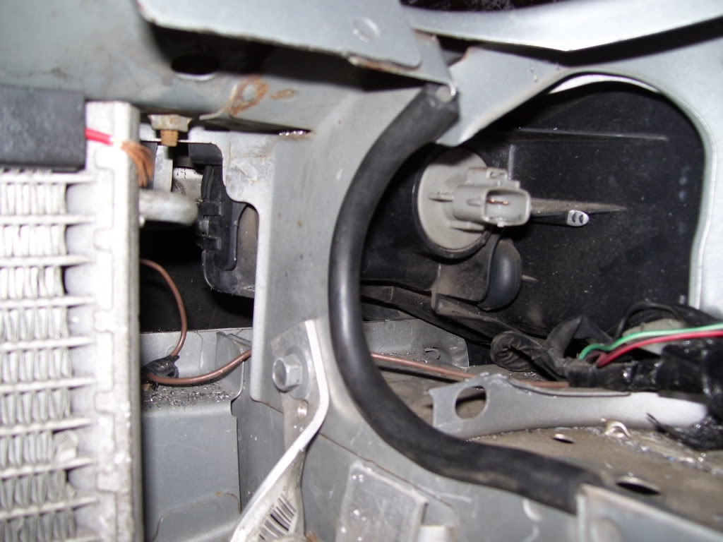 Name:  100_1828-1.jpg
Views: 169
Size:  93.7 KB