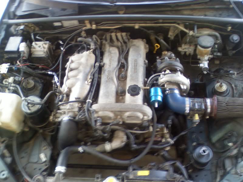 Name:  DC081104005.jpg
Views: 268
Size:  75.1 KB