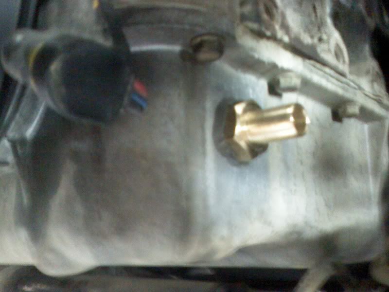 Name:  DC081030005.jpg
Views: 226
Size:  47.3 KB