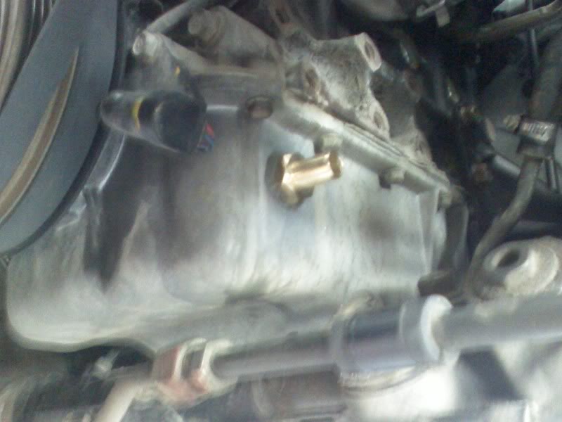 Name:  DC081030006.jpg
Views: 259
Size:  47.8 KB