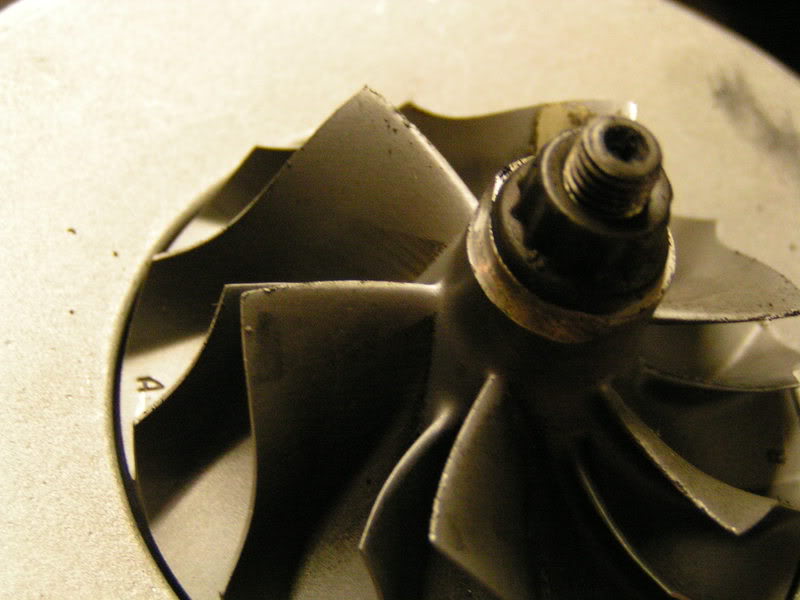 Name:  PICT0295.jpg
Views: 90
Size:  52.1 KB