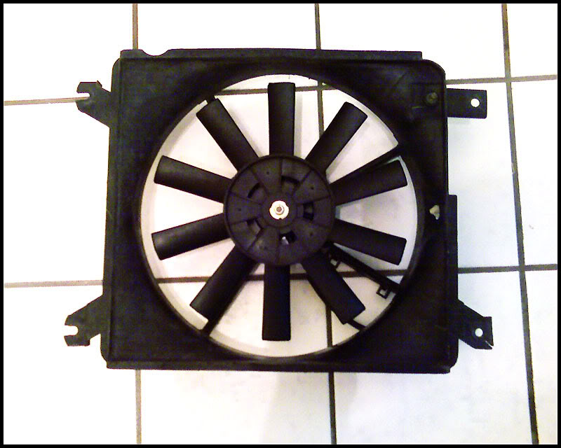 Name:  081508_16581.jpg
Views: 158
Size:  75.0 KB