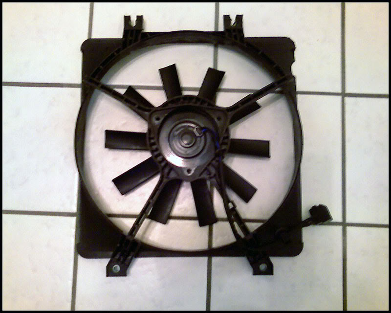 Name:  081508_08361.jpg
Views: 156
Size:  71.4 KB