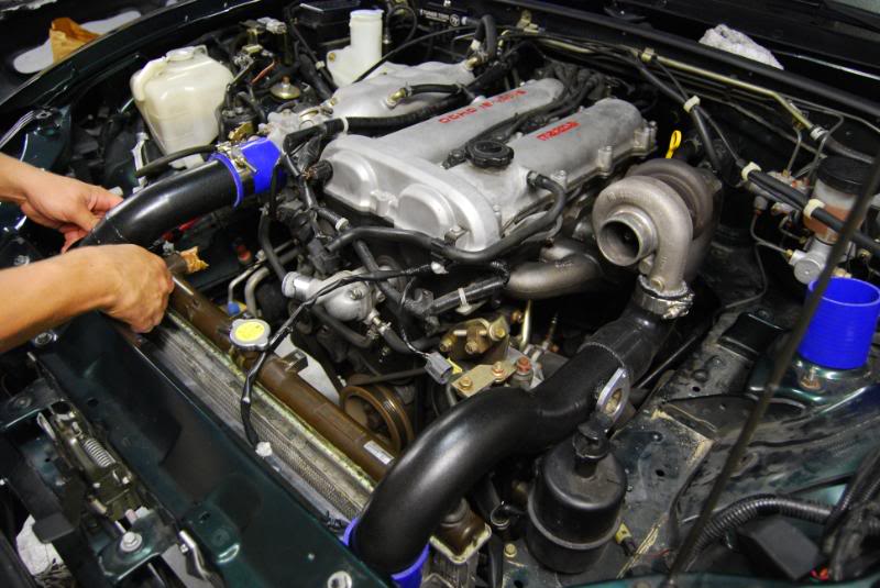 Name:  DSC_0054-2.jpg
Views: 346
Size:  99.1 KB