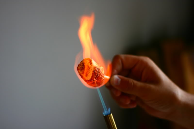 Name:  IMG_4078.jpg
Views: 62
Size:  22.6 KB