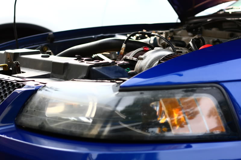 Name:  IMG_4094.jpg
Views: 61
Size:  55.9 KB