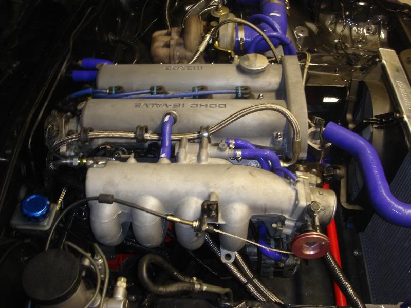 Name:  DSC00933.jpg
Views: 91
Size:  66.1 KB