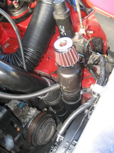 Name:  IMG_5553.jpg
Views: 485
Size:  62.7 KB