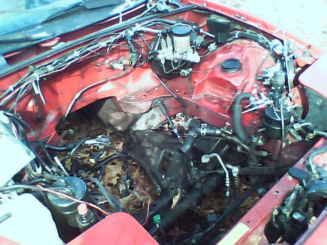 Name:  0224081433.jpg
Views: 57
Size:  54.3 KB