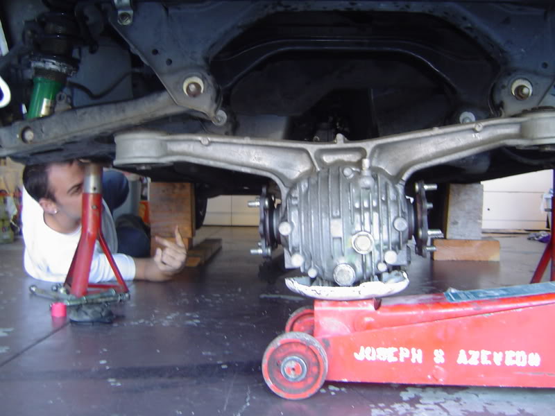 Name:  DSC07656.jpg
Views: 85
Size:  69.9 KB