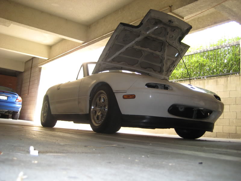 Name:  IMG_3918.jpg
Views: 138
Size:  69.1 KB