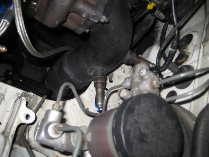 Name:  IMG_3923.jpg
Views: 135
Size:  60.2 KB