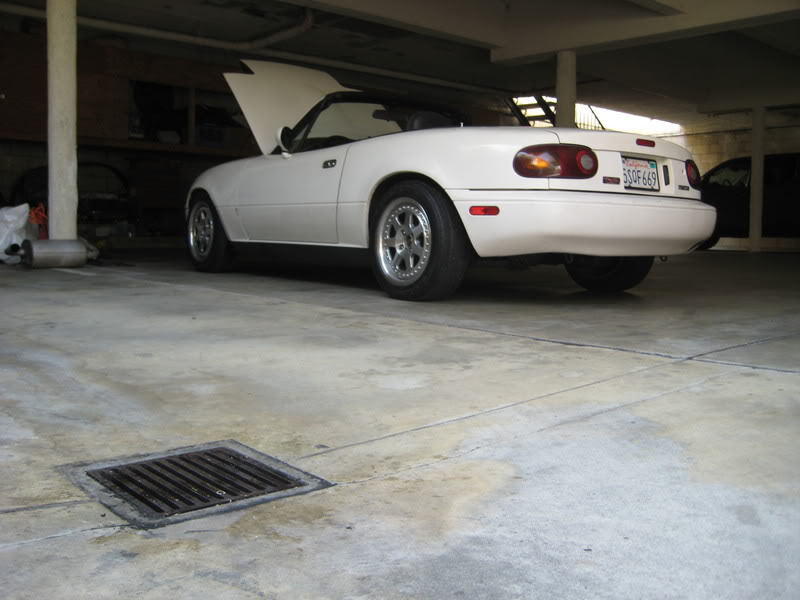 Name:  IMG_3927.jpg
Views: 175
Size:  60.3 KB