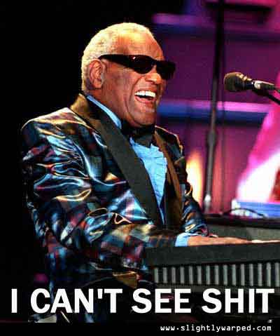 Name:  Ray_Can_t_See_Shit.jpg
Views: 95
Size:  18.2 KB