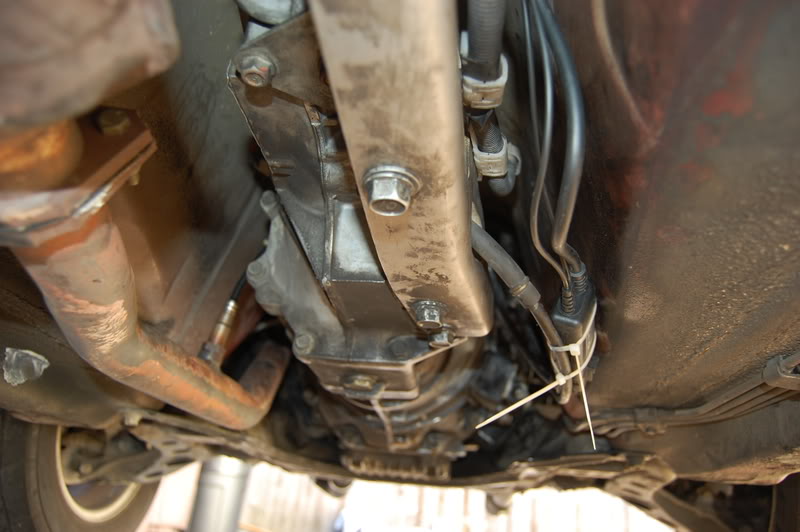 Name:  DSC_1030.jpg
Views: 406
Size:  87.2 KB